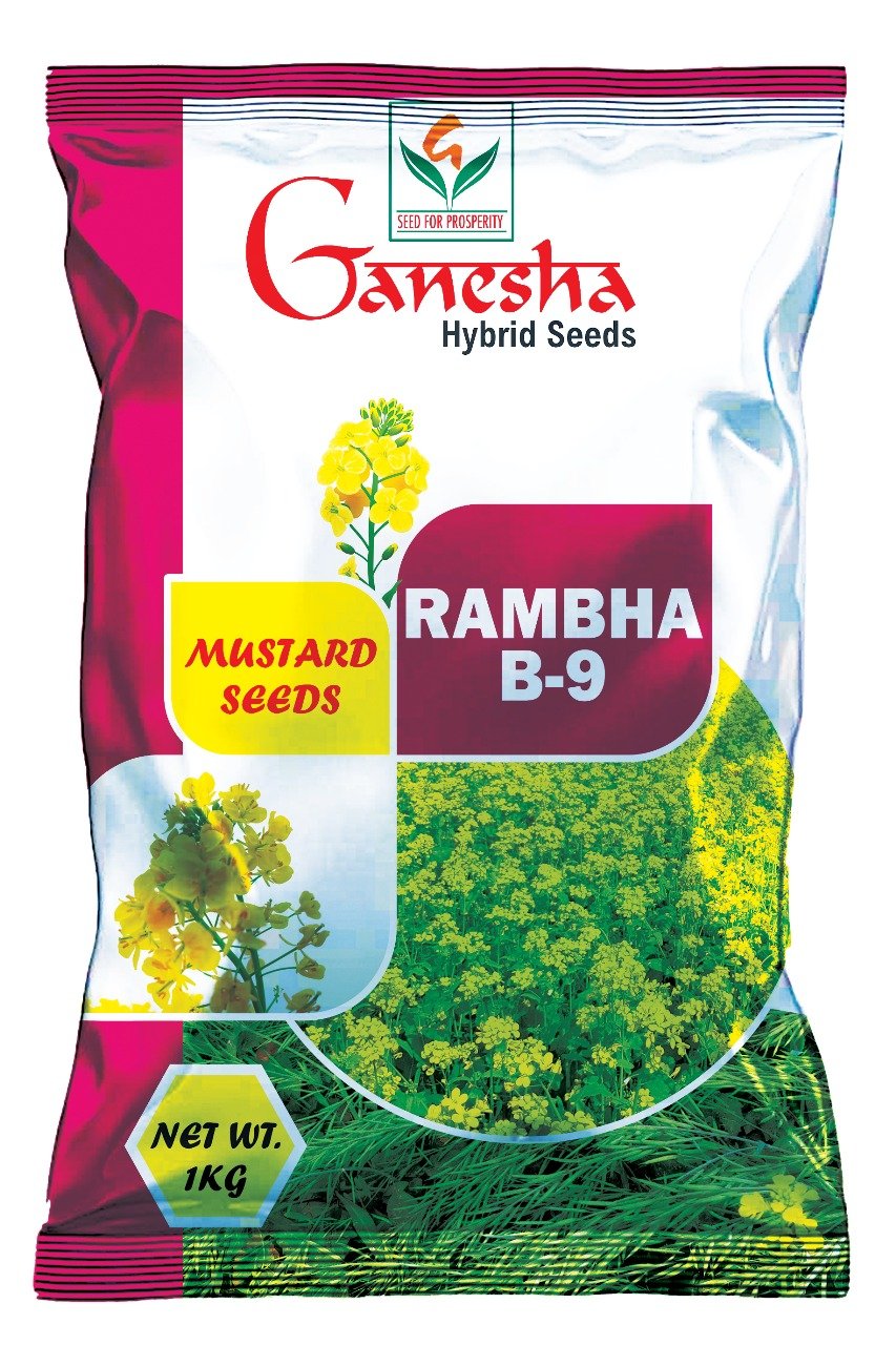 Ganesha Seeds (15)