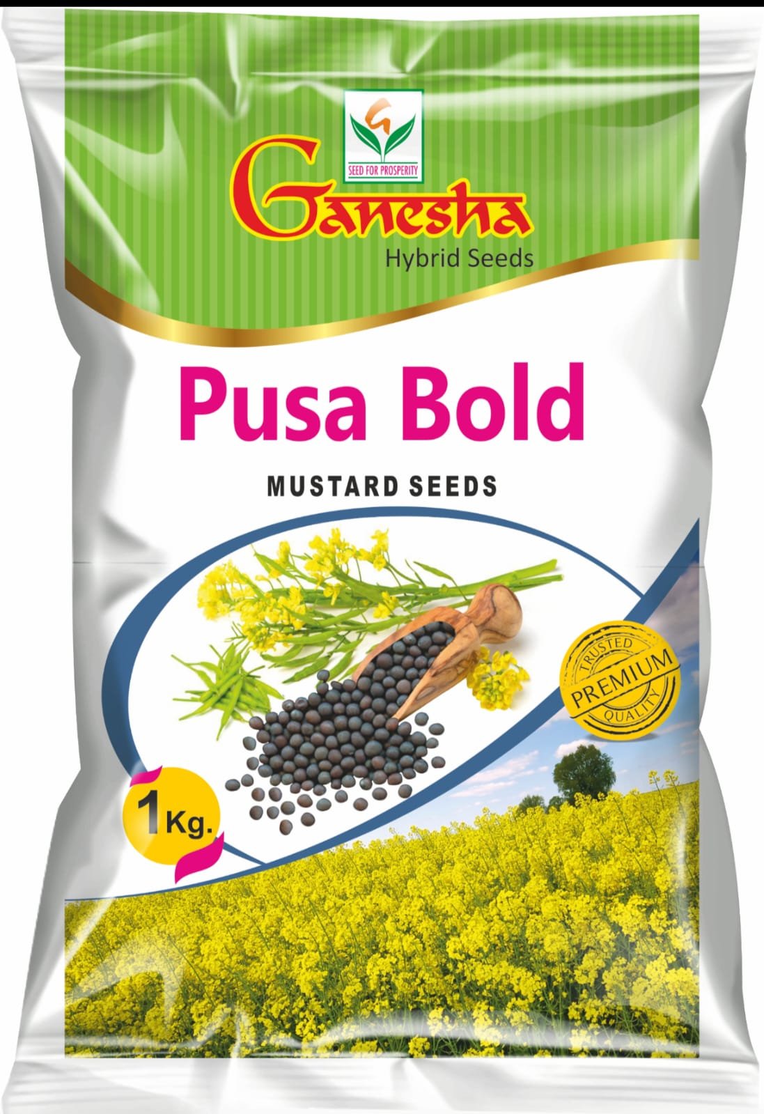 Ganesha Seeds (16)