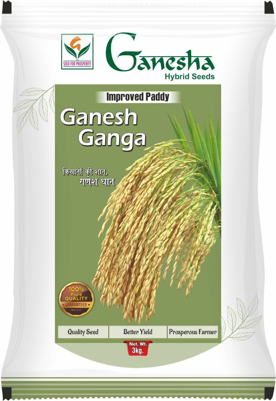 Ganesha Seeds (17)
