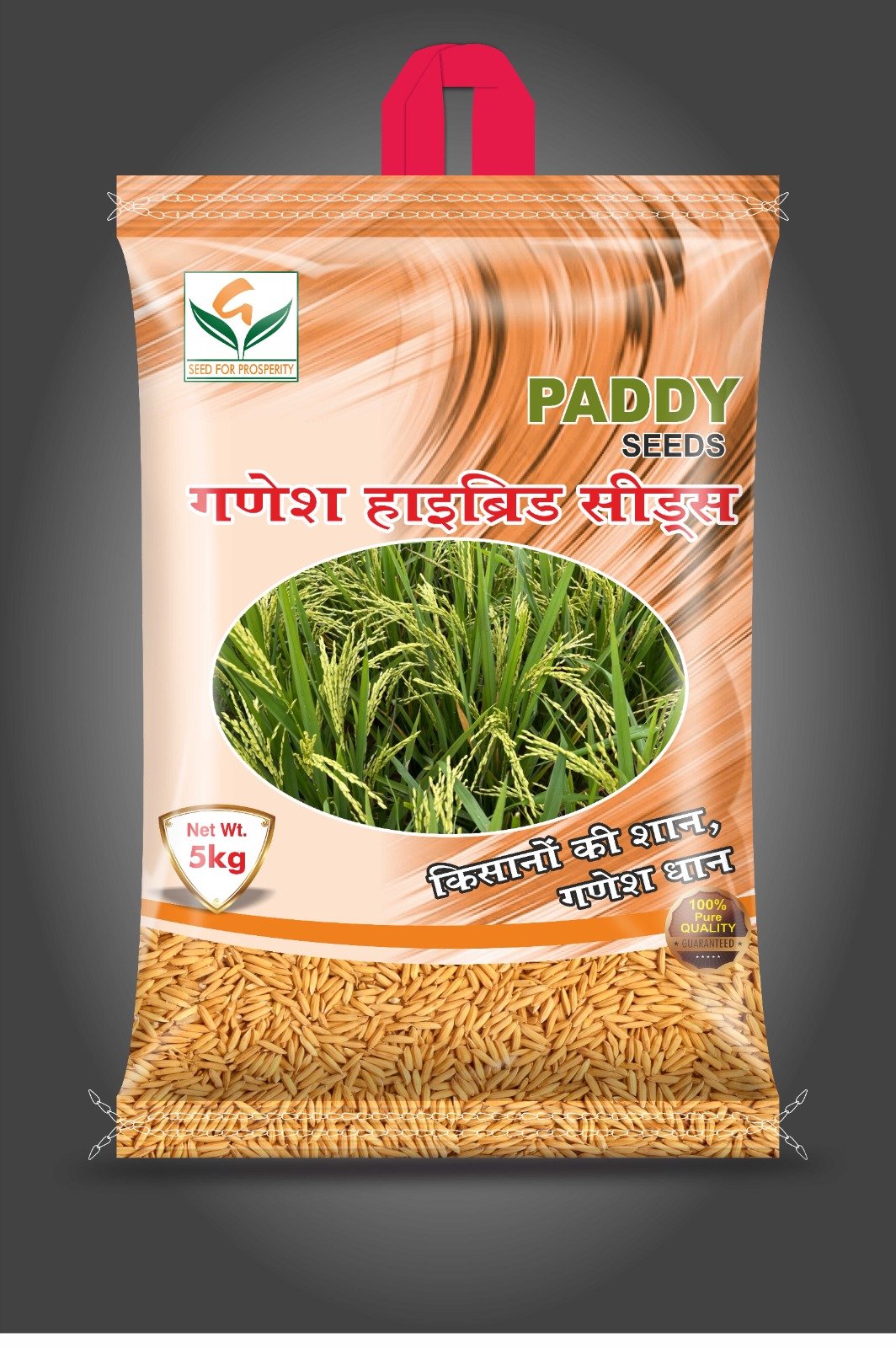 Ganesha Seeds (7)