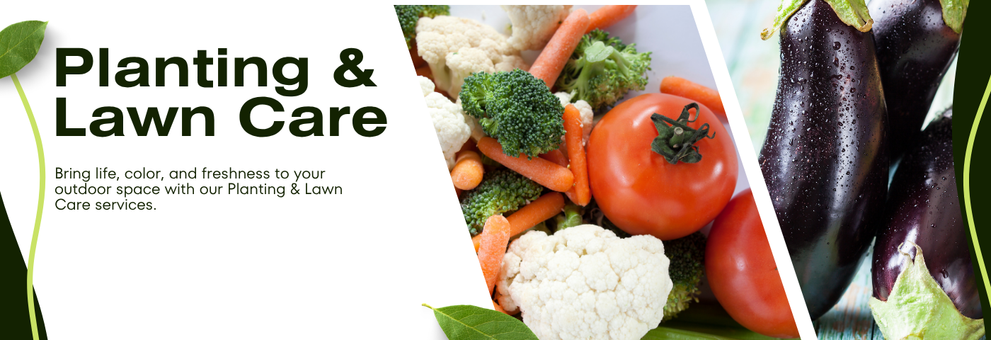 Seeds That Power India's Farmers